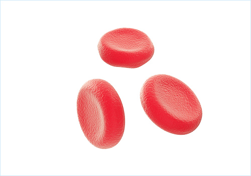 赤血球の異常による「赤血球系疾患」について